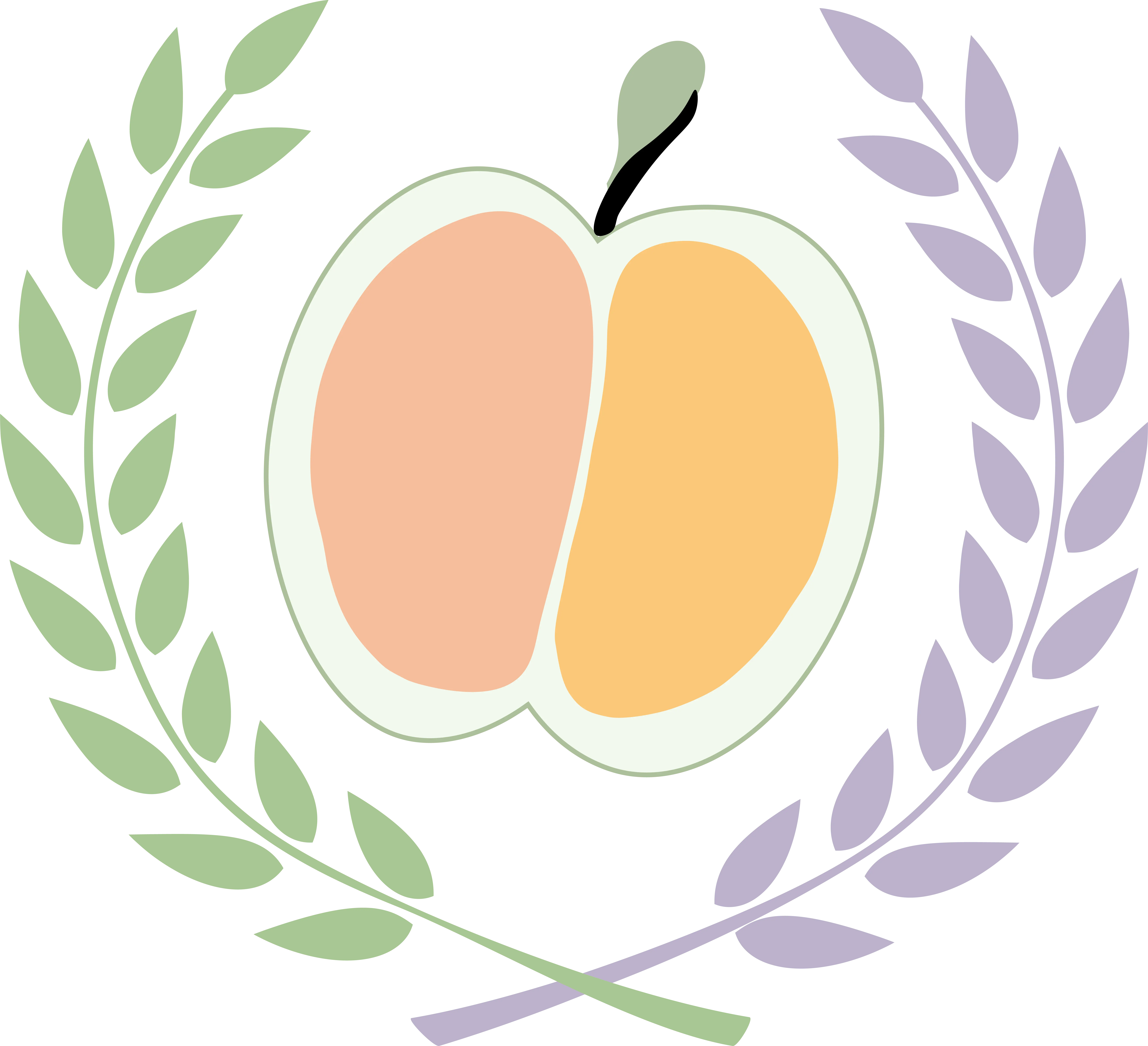 IFS Consultora Logo